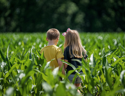 Aktuelles 2025 aerztetag kinder klima