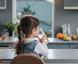 Schluss mit Blei in Wasserleitungen - Trinkwasserverordnung neu